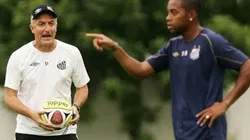 Divulgação
