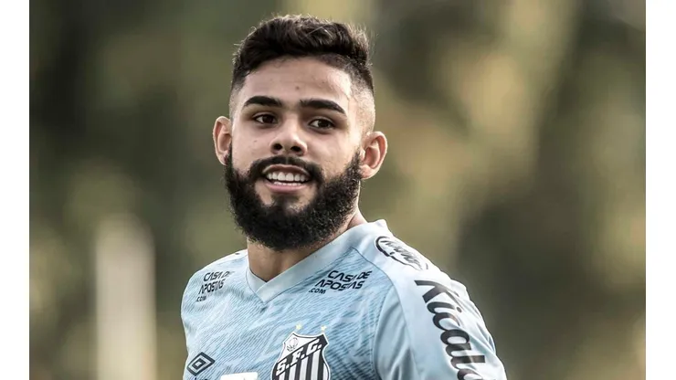 Foto: Ivan Storti/Santos FC