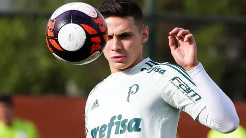 Declaração de Luxemburgo revolta torcida do Palmeiras na Web