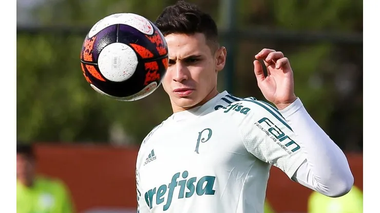 Declaração de Luxemburgo revolta torcida do Palmeiras na Web