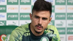 Cesar Greco/Palmeiras