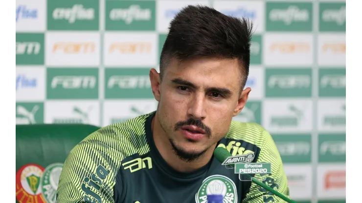 Cesar Greco/Palmeiras