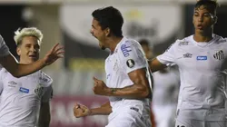 Foto: Ivan Storti/Santos FC/Divulgação