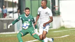 Sport estuda a contratação do atacante Lucas Braga