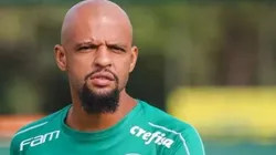 Cesar Greco/Palmeiras