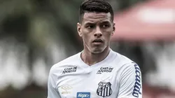 Foto: Ivan Storti/Santos FC.