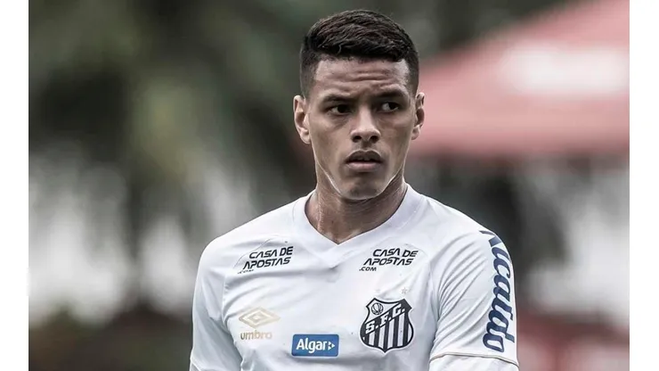 Foto: Ivan Storti/Santos FC.