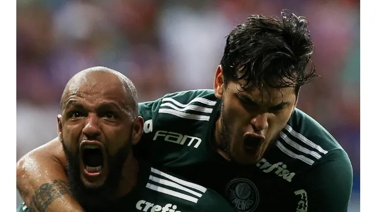 Imagem: Cesar Greco/Agência Palmeiras