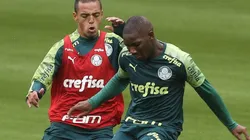 Foto: Cesar Greco/Palmeiras/Divulgação
