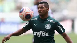 Palmeiras não terá Rony para jogo contra a Ponte