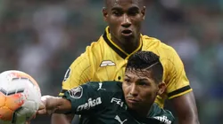 Foto: Cesar Greco/Palmeiras/Divulgação