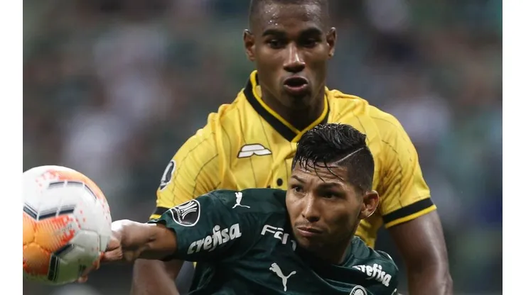 Foto: Cesar Greco/Palmeiras/Divulgação