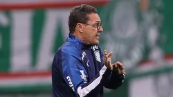 Cesar Greco/Palmeiras