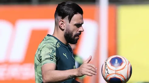 Cesar Greco/Palmeiras