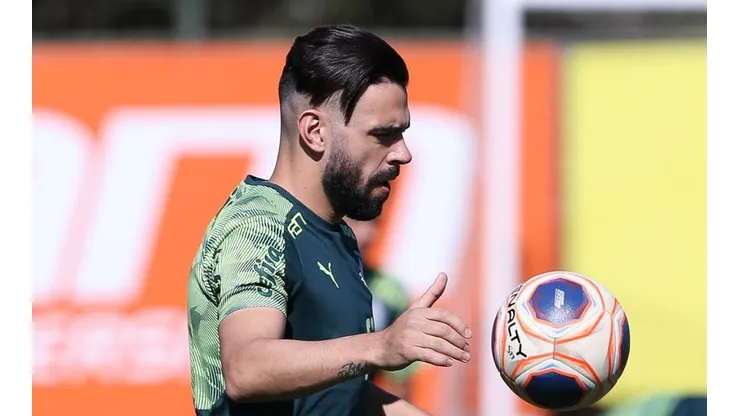 Cesar Greco/Palmeiras