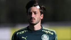 Cesar Greco/Palmeiras