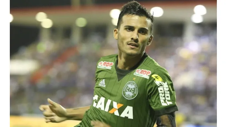 Divulgação