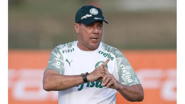 Meio-campista ganha confiança de Luxa no Palmeiras