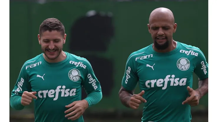 Cesar Greco/Palmeiras