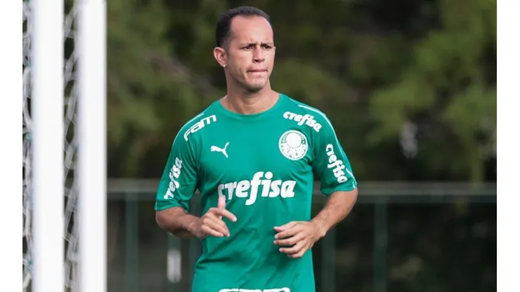 Foto: Divulgação/Agência Palmeiras