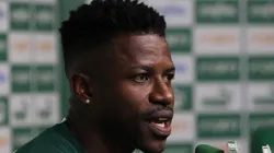 Cesar Greco/Palmeiras