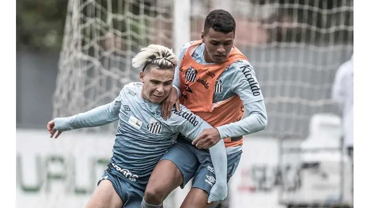 Foto: Ivan Storti/Santos FC