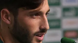 Cesar Greco/Palmeiras