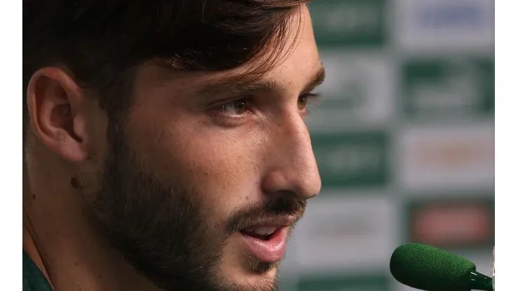 Cesar Greco/Palmeiras