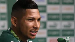 Cesar Greco/Palmeiras