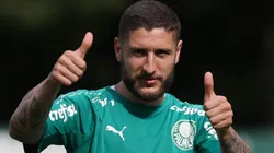 Cesar Greco/Palmeiras