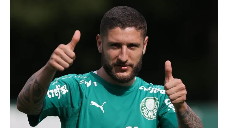 Cesar Greco/Palmeiras