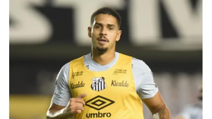 Foto: Ivan Storti/Santos FC