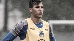 Foto: Ivan Storti/Santos.