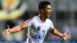 Foto: Ivan Storti/Santos FC.