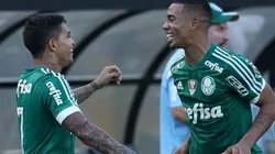 Foto: Cesar Greco / Fotoarena / Palmeiras / Divulgação