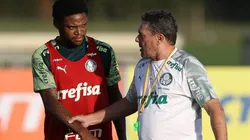 Foto: Cesar Greco/Palmeiras/Divulgação