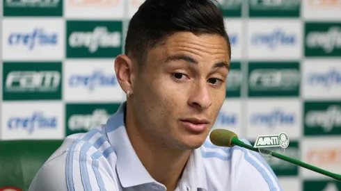 Cesar Greco/Palmeiras