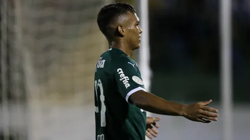 Cesar Greco/Palmeiras