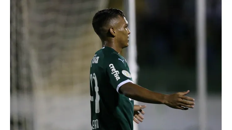 Cesar Greco/Palmeiras