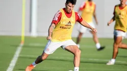 Foto: Ricardo Duarte / Internacional / Divulgação