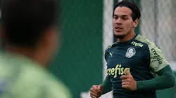 Foto: Cesar Greco/Palmeiras/Divulgação