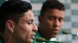 Cesar Greco/Palmeiras