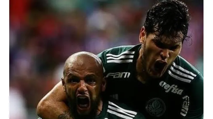 Divulgação