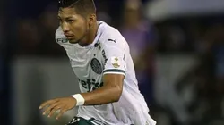 Cesar Greco/Palmeiras