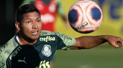 Foto: Cesar Greco/Palmeiras/Divulgação