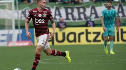 Foto: Alexandre Vidal / Flamengo / Divulgação
