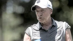 Foto: Ivan Storti/Santos FC