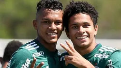 Foto: Cesar Greco/Palmeiras.