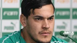 Cesar Greco/Palmeiras
