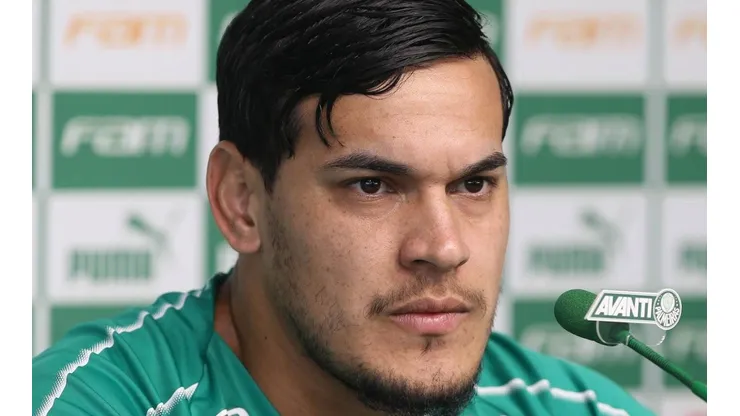 Cesar Greco/Palmeiras
